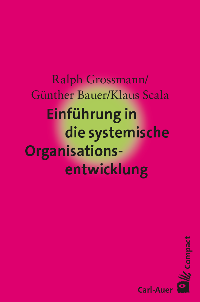 Einführung in die systemische Organisationsentwicklung